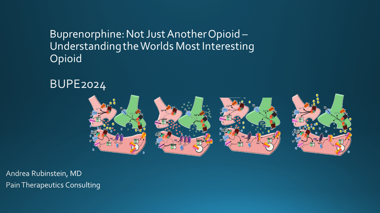 20240722 BUPE2024 final DS RUbinstein_Slide1